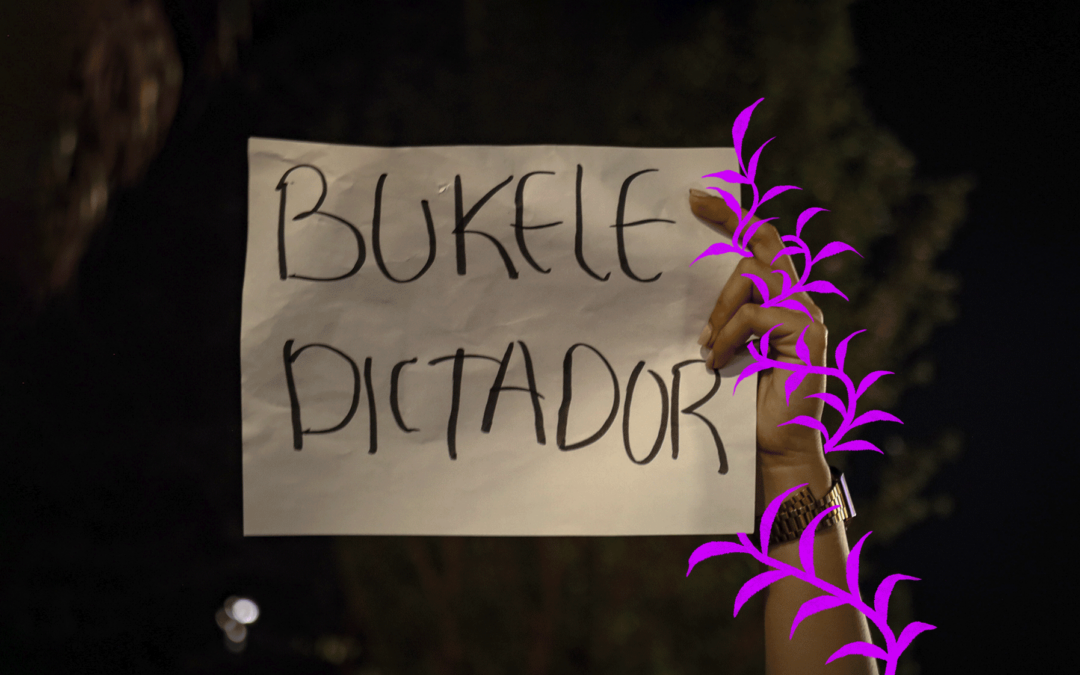 Las caras de la democracia en El Salvador. Mujeres feministas luchan por mantener viva la democracia en un momento de persecución política y régimen de excepción.