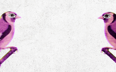 Al mal tiempo, más movimientos: reflexiones políticas para sostener la esperanza